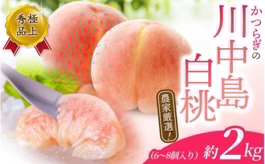 先行予約！【モモ】川中島白桃　約2kg 6～8個入【2025年7月末頃から順次発送】【秀品】こだわり農家厳選 【KG13】【kgr011】