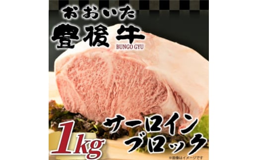 ＜厳選部位＞おおいた豊後牛サーロインブロック(1kg)(日出町)【1571758】 2097886 - 大分県日出町