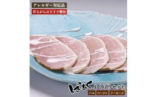 ばあく豚のよくばりセット（ハム・ベーコン・ソーセージ詰合せ） | 肉 にく ニク 豚肉 ぶたにく ブタニク 加工食品 手作り 無添加 奈良県 五條市 肉 加工食品 手作り 無添加 773051 - 奈良県五條市