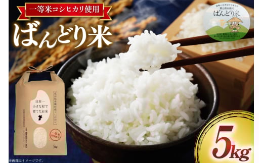 【期間限定発送】 米 令和7年 ばんどり米 コシヒカリ 精米 5kg  [農事組合法人東和 富山県 舟橋村 57050201] お米 白米 美味しい こしひかり 富山 農家