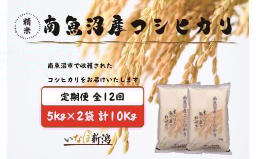 【令和7年産】【定期配送】南魚沼産コシヒカリ 白米 5kg×2袋(10kg) 全12回【2025年10月上旬より順次発送予定】 2097541 - 新潟県南魚沼市