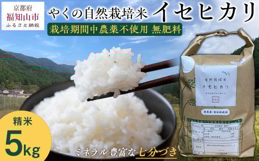 [先行予約・2025年11月より発送開始!]やくの自然栽培米 イセヒカリ 5kg 令和7年産 こめ コメ 米 白米 精米 イセヒカリ いせひかり お米 ごはん やくの 夜久野 京都府 福知山市