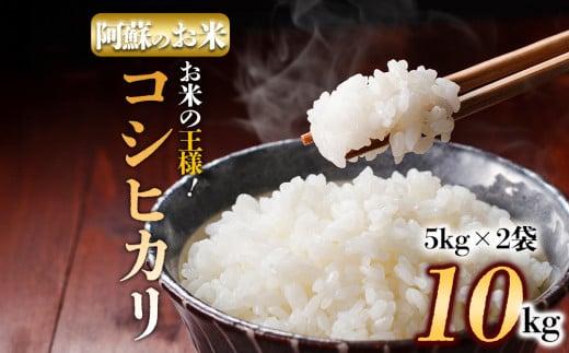 【選べる内容量】阿蘇の美味しいお米をお届け！10kg コシヒカリ 農家指定無 令和6年産 お米 米 コシヒカリ 精米 白米  ふるさと納税 おすすめ 令和6年度 10kg 阿蘇米 阿蘇のお米 ご飯 ごはん 美味しい 寒暖差 湧き水 お取り寄せ 食卓 豪華 贅沢 自然 湧水 熊本県 阿蘇市 2097328 - 熊本県阿蘇市
