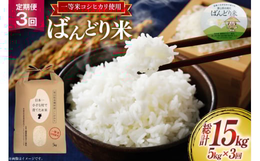 【3ヶ月定期便】【一等米100％】米 令和7年産 ばんどり米（コシヒカリ）精米 5kg 計15kg [農事組合法人東和 富山県 舟橋村 57050214] お米 白米 美味しい こしひかり 富山 農家 令和7年