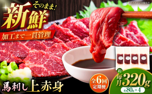 【全6回定期便】フジチク ふじ 馬刺し 上赤身 4個 セット 計約320g / ばさし 熊本県 菊陽町 にく 肉 バサシ あかみ 新鮮  うま 旨  ウマ タレ 特製【株式会社フジチク】 [BHAD091] 2097746 - 熊本県菊陽町
