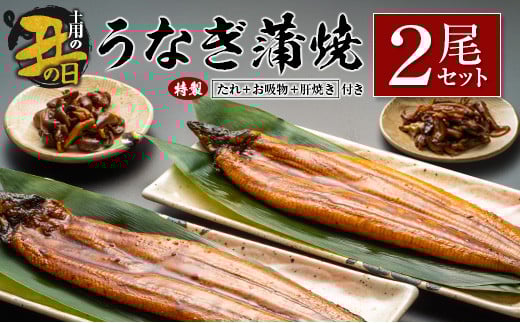 【土用の丑の日】うなぎ蒲焼2尾セット 計362g以上 肝焼き付 中村商店