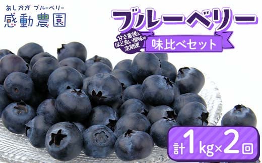 【定期便2ヶ月】ブルーベリー 甘み重視とほど良い酸味の2か月味比べセット 各月1kg 計2kg 冷蔵 栃木県 足利市 F7Z-1359