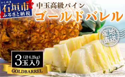 【先行予約】石垣島産 中玉ゴールドバレル3玉 合計約4.2kg《2025年夏季 順次発送》【 沖縄 石垣 パイン パイナップル フルーツ くだもの 果物 産地直送 】SI-114 2098030 - 沖縄県石垣市