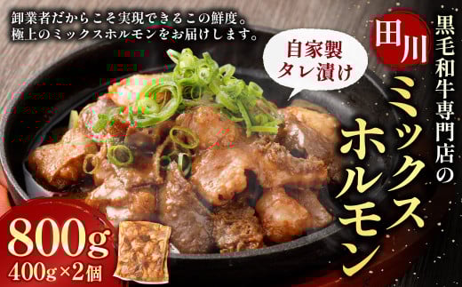九州産 黒毛和牛 ミックスホルモン（自家製タレ漬け） 400g×2個 計800g / ホルモン ミックスホルモン 牛肉 黒毛和牛