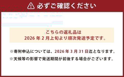 甘夏みかん 約10kg