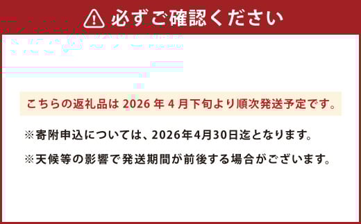 こだわり サラダ玉ねぎ 合計 8kg