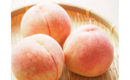 南信州産 秋桃 白桃 約3kg | 果物 くだもの フルーツ 柿 桃 もも 白桃 秋桃 ジューシー 長野県 信州 南信州 飯田市