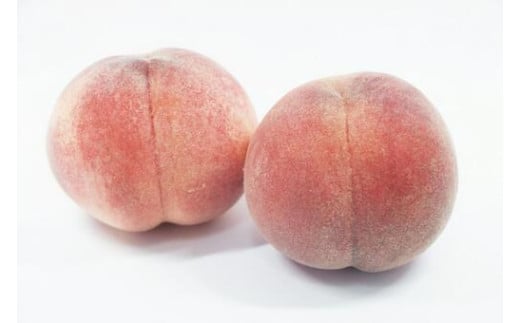 南信州産 桃【あかつき】3kg | 桃 もも モモ あかつき 長野県 産地直送 くだもの 果物 フルーツ デザート 送料無料 長野県 飯田市 2097788 - 長野県飯田市
