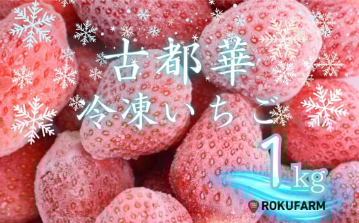 【数量限定】完熟古都華 の 冷凍いちご（古都華） 奈良ブランド苺 イチゴ フルーツ 果物 国産 冷凍 人気 かき氷 フローズン スムージー ジャム アレンジ スイーツ 『６FARM』 奈良県 奈良市 10-212 2098741 - 奈良県奈良市