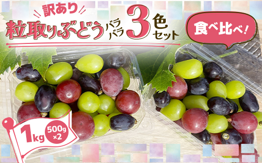＜訳あり＞粒取り ぶどう バラバラ3色セット 計1kg(500g×2パック)食べ比べ!【1613279】 2070283 - 青森県青森市