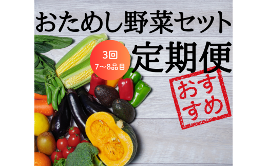 【定期便3回】注文が来てから収穫発送!収穫したばかりの新鮮野菜セットお試しコース 《7~8品》 季節のお野菜 おまかせ お楽しみ 獲れたて産地直送 旬 鍋 冬野菜 ベジタブル ヘルシー 健康 詰め合わせ 一関市