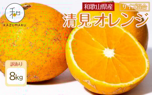 訳あり 森本農園の手選別 清見オレンジ 8kg 和歌山県産 サイズ混合 ［北海道・沖縄・離島配送不可］［RN25］［2026年2月上旬から5月中旬頃順次発送予定］ 1455656 - 和歌山県印南町