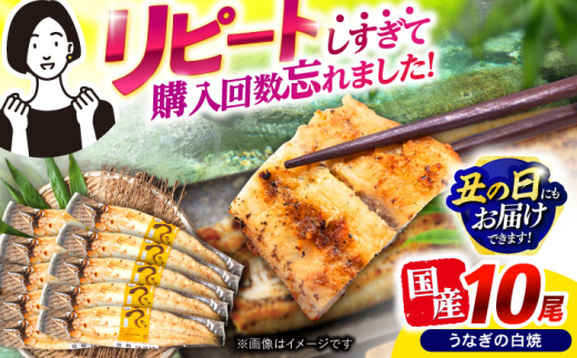 【最速発送】＜諫早淡水＞うなぎ白焼き10尾 / うなぎ ウナギ 鰻 白焼き 白焼 しらやき 国産 冷凍 小分け / 諫早市 / 活うなぎ問屋 諫早淡水 [AHAT010]  最速 最短 スピード 発送 丑の日 土用丑の日 631873 - 長崎県諫早市