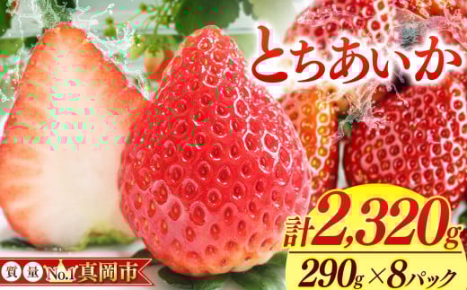 鮮度抜群 とちあいか 4箱 (290g×8) 1740g  |  選べる 容量 4箱 日本一 産地 大粒 冬 味覚 いちご 苺 イチゴ ストロベリー 大きい  ハート 美味しい 果汁 ジューシー 甘い あまい 甘味 たっぷり 大容量 | 人気 レビュー 栃木県 真岡市 送料無料