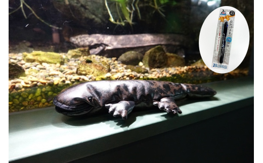 1001 世界淡水魚園水族館　アクア・トトぎふ　オオサンショウウオペンケース＋ボールペン 2106434 - 岐阜県各務原市