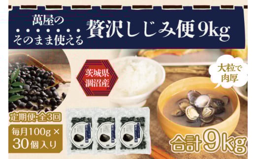 【3ヶ月定期便】涸沼産冷凍しじみ中粒３kg（100g×30p）【シジミ 中粒しじみ 産地直送 砂抜き済み 砂抜き 小分け包装 味噌汁 みそ汁 茨城県】（CA-16）