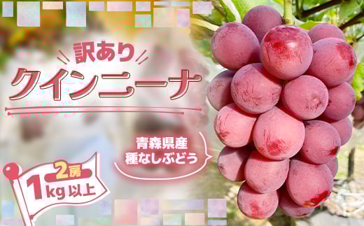 ＜訳あり＞種なしぶどう 青森県産クインニーナ 2房(1.0kg～1.2kg)【1613277】 2070281 - 青森県青森市