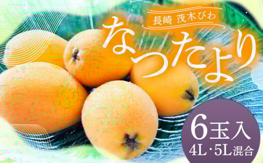 長崎 茂木びわ 『なつたより』 4L／5L混合 計6玉 【2025年5月上旬～6月下旬迄発送予定】  びわ 枇杷 ビワ 長崎びわ