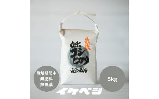 新潟県佐渡産 令和7年産 【在来コシヒカリ】 玄米 5kg 1971793 - 新潟県佐渡市