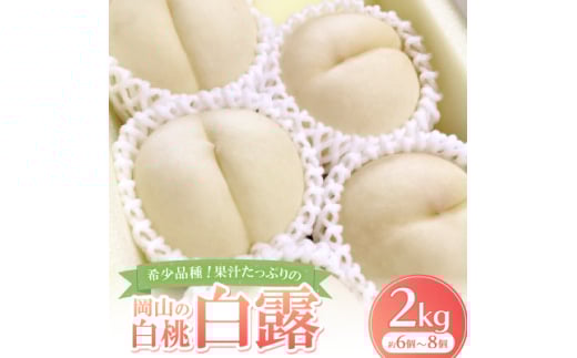 ＜先行予約・2025年9月上旬頃より発送予定＞希少品種・果汁たっぷりの岡山の白桃・白露(2kg箱)【1543248】