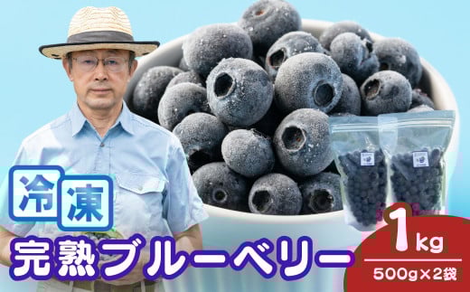 ブルーベリー 冷凍 2袋 (500g✕2) 計 1kg | 国産 大粒 冷凍ブルーベリー 新鮮 フレッシュ とれたて冷凍 即冷凍 くだもの ぶるーべりー 贈答 ギフト プレゼント 化粧箱 産直 旬 食べ比べ 完熟 お取り寄せ 農家 直送 デザート フルーツ ヨーグルト ケーキ ジャム作り こだわり 果物 埼玉県産 金子果樹園 埼玉県 北本市