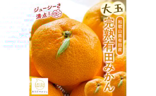 【果汁たっぷり】迫力満点！ 大粒 有田みかん 8kg+200g【2025年11月中旬～12月下旬順次発送予定】※北海道・沖縄・離島配送不可 / 和歌山 ミカン オレンジ 柑橘 フルーツ 果物 くだもの 旬【ard226】