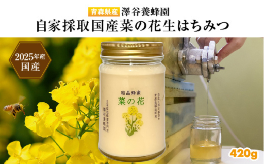 【青森県横浜町産】澤谷養蜂園　自家採取　国産菜の花結晶はちみつ420g (2025年産)◆非加熱結晶蜂蜜