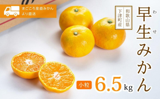 小粒みかん【秀品】S・SSサイズ 6.5kg【早生みかん】11月～1月にまごころ産直みかんより農園直送｜Sサイズ 2Sサイズ 小玉 小粒 小さい こつぶ こだま ※北海道・沖縄・離島への配送不可 ミカン 蜜柑 mikan 早生みかん 477224 - 和歌山県海南市