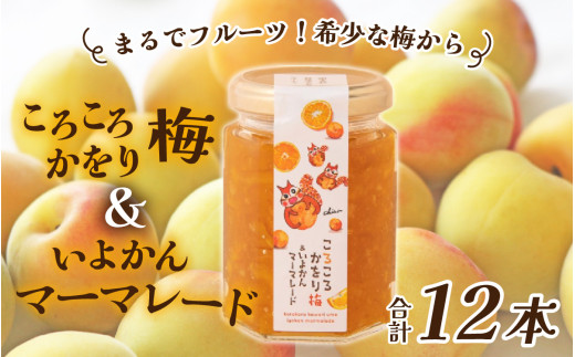 まるでフルーツ！希少な梅から「ころころかをり梅＆いよかんマーマレード」12本 [D-178005] / 梅 うめ いよかん マーマレード 加工品 調味料 ジャム 季節ジャム パン ジャムティー ヨーグルト 料理 手造り 詰合せ お取り寄せ 送料無料