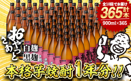 ≪本格芋焼酎1年分！≫おやっとさあ365本セット！(全10回 / おやとさあ900ml×120本・おやっとさあ黒900ml×245本) 芋焼酎 さつま芋 定期便【岩川醸造】T45 2098733 - 鹿児島県曽於市