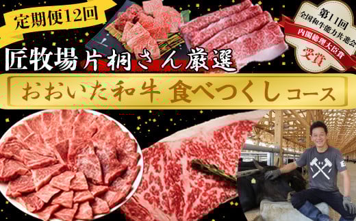 [8月発送開始]＜12か月定期便＞匠牧場 片桐さん厳選【おおいた和牛食べつくしコース】 牛肉 和牛 定期便 12回 12ヶ月 おすすめ 国産 ＜102-808＞