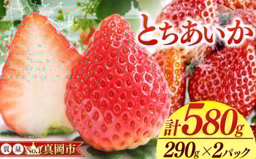 鮮度抜群 とちあいか 1箱 (290g×2) 580g  |  選べる 容量 1箱 日本一 産地 大粒 冬 味覚 いちご 苺 イチゴ ストロベリー 大きい  ハート 美味しい 果汁 ジューシー 甘い あまい 甘味 たっぷり 大容量 | 人気 レビュー 栃木県 真岡市 送料無料