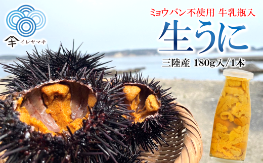 「2025年発送分」【牛乳瓶入り！ミョウバン不使用！】生うに180ｇ