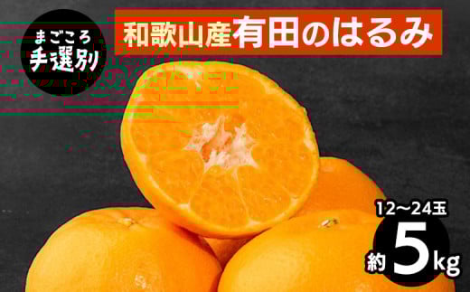 【まごころ手選別】和歌山産　有田のはるみ　約5kg　12玉～24玉 ※2026年1月中旬～2月下旬頃に順次発送予定