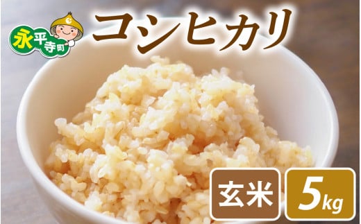 【先行予約】永平寺町飯島産　コシヒカリ  【玄米】５kg /ふるさと納税 米 5kg 福井県 永平寺町 の おいしい お米 発祥の地 こめ おこめ 白米 精米 国産 限定 ごはん ご飯 白飯 ゴハン 玄米 ふるさと ランキング 人気 おすすめ 送料無料 産地直送 農家直送 福井県 永平寺 国産米  [B-074002]
