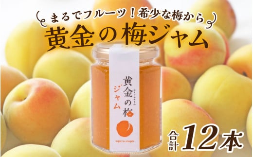 まるでフルーツ！希少な梅から「黄金の梅ジャム」12本 [D-178001] / 加工品 調味料 ジャム 季節ジャム パン ジャムティー ヨーグルト 料理 手造り 詰合せ お取り寄せ 送料無料
