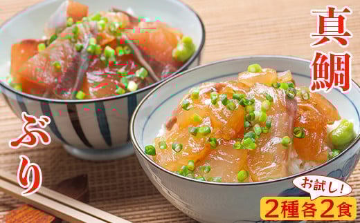 りゅうきゅう2種(真鯛・ぶり)[お試し各2食セット] 海鮮丼 漬け丼 大分郷土料理 豊後絆屋 ふるさと納税 魚 冷凍 加工品 惣菜 おすすめ おいしい 刺身 詰め合わせ おせち セット 産地直送 国産 大分県 海鮮 漬け 真空パック 小分け 惣菜 人気 鯛 タイ たい 鰤 ブリ ぶり 父の日 ＜101-031＞ 2098173 - 大分県杵築市
