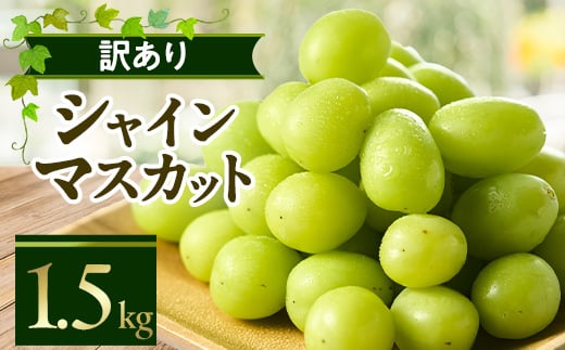 やまなし内藤農園の＜訳あり＞シャインマスカット 1.5kg【1513177】 1359617 - 山梨県山梨市