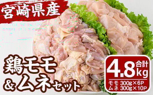 宮崎県産 鶏 もも むね セット (合計4.8kg) 鶏肉 鳥肉 とり肉 お肉 切り身 カット済 唐揚げ からあげ 冷凍 小分け 国産【MF-64】【エムファーム】