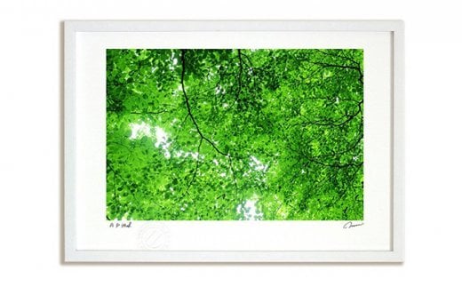 絵画のような質感《アートフォト》木漏れ日（2014）　Sサイズ　【11246-0325】