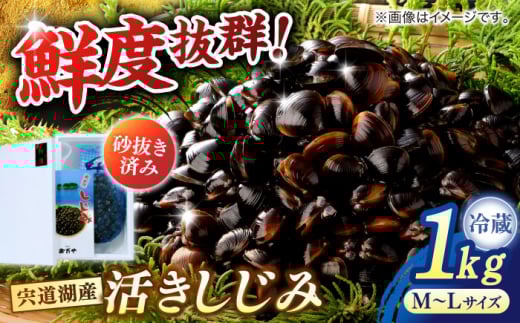 砂抜き不要！宍道湖産 活ヤマトシジミ 生しじみ 1kg 島根県松江市/株式会社漁師村 [ALDN005]