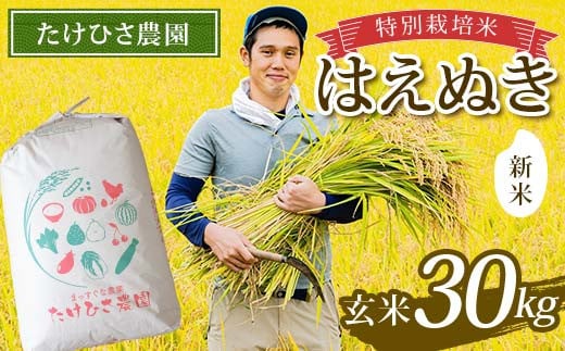 【令和7年産 新米 先行予約】 特別栽培米 はえぬき (玄米) 30kg 《令和7年9月下旬～発送》 『たけひさ農園』 山形南陽産 米 ご飯 農家直送 山形県 南陽市 [2375-R7]