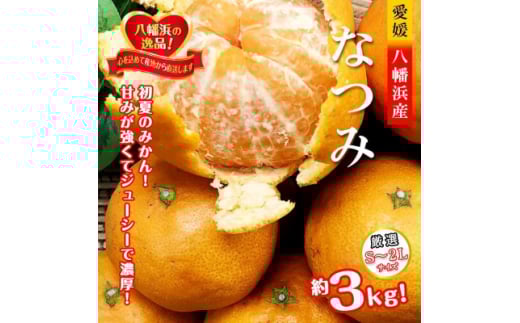 2026年4月発送開始　甘みが強くて濃厚な味わい初夏のみかん「なつみ」約3kg  ＜C39-57＞【1491395】 1122910 - 愛媛県八幡浜市