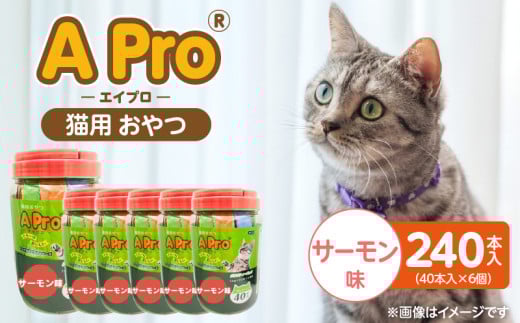 A Pro 猫用おやつ（サーモン味）40本入×6個_A Pro 猫用 おやつ 40本入 × 6個 計 240本 サーモン 液状タイプ 舐めやすい 水分補給 キャットフード 福岡県 久留米市_Pf042-03