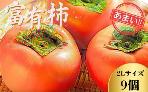 【先行予約】Farm m&aの富有柿 2L×9個 秀品 岐阜県 大野町（2025年11月下旬～発送）農家直送 果物 フルーツ 秋の味覚 柿 かき 富有 ふゆう